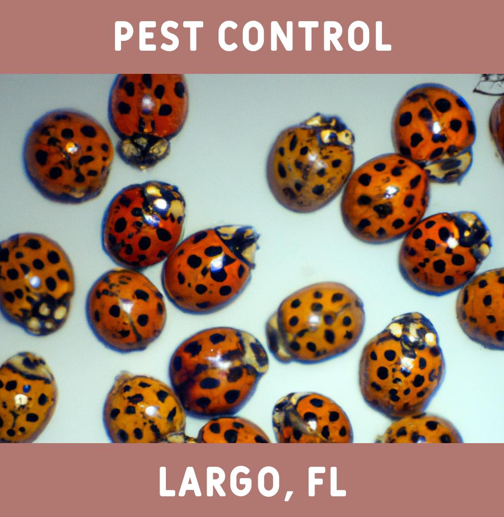 pest control in Largo Florida