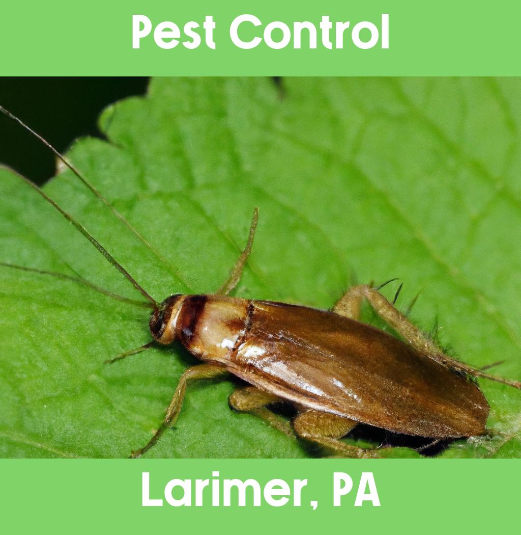 pest control in Larimer Pennsylvania