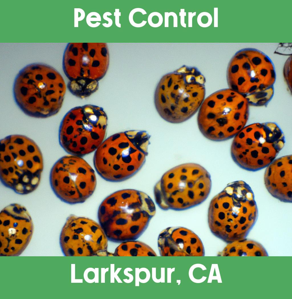 pest control in Larkspur California