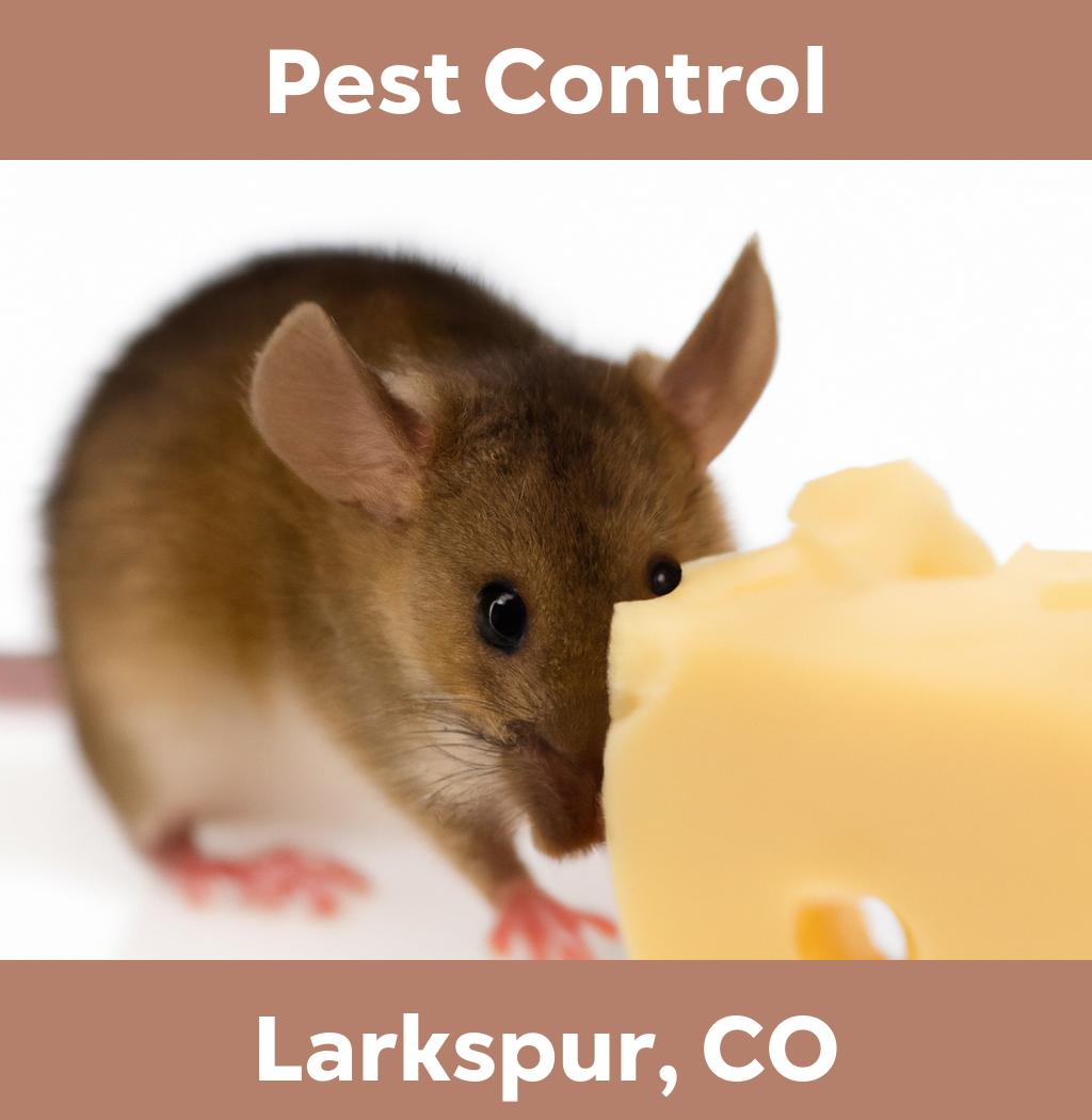 pest control in Larkspur Colorado