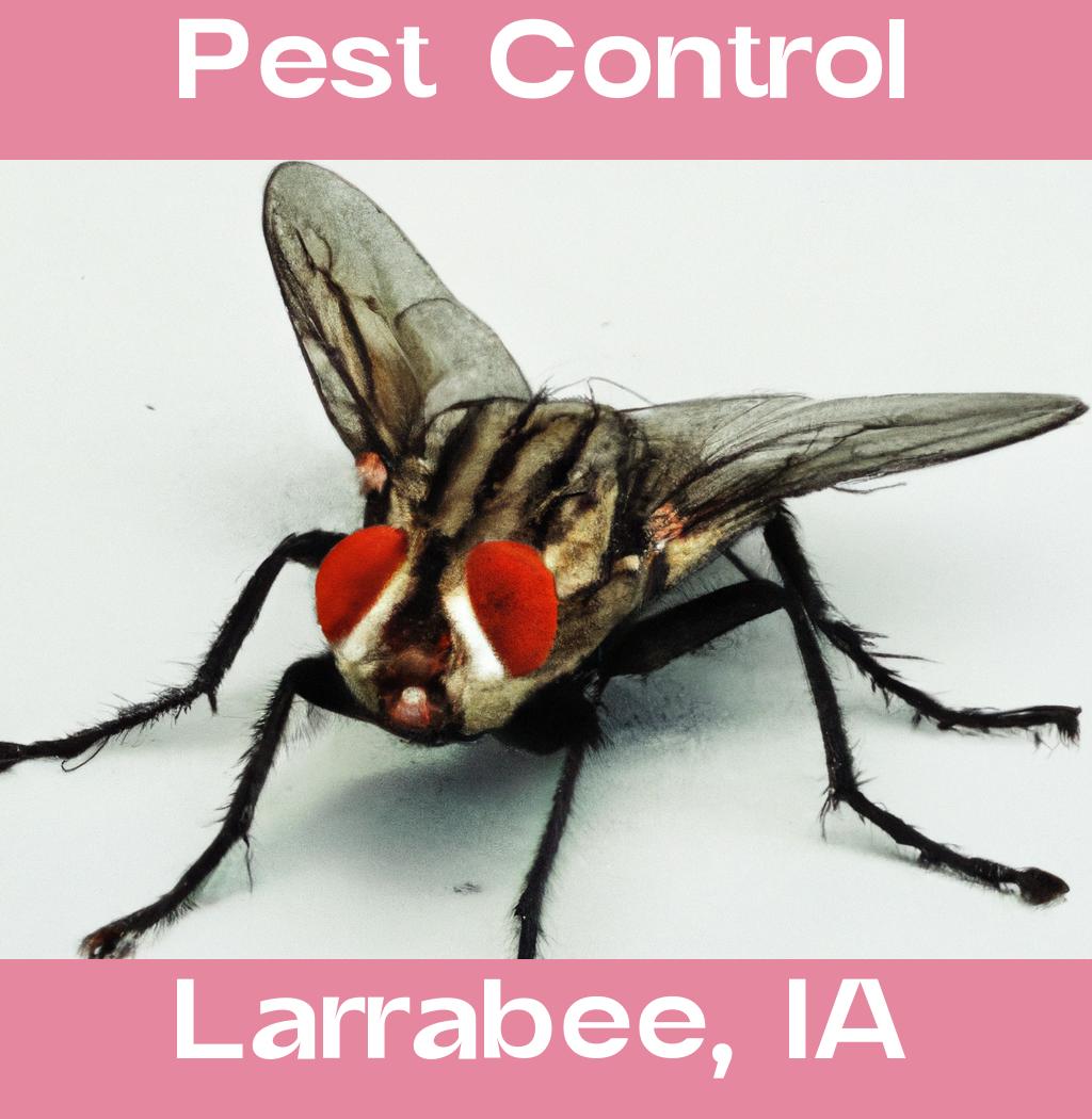 pest control in Larrabee Iowa