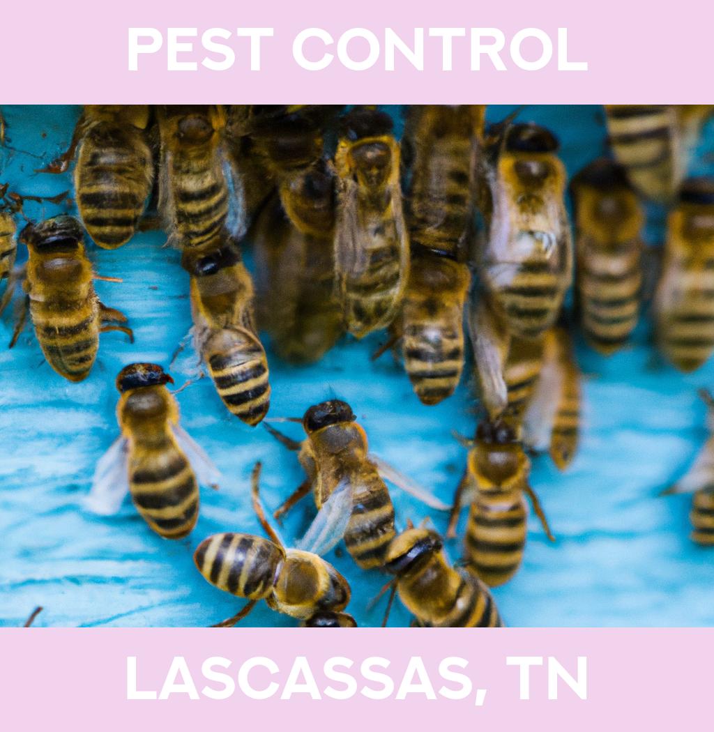 pest control in Lascassas Tennessee