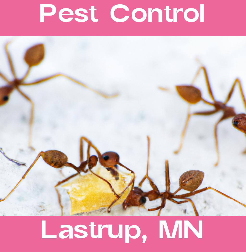 pest control in Lastrup Minnesota