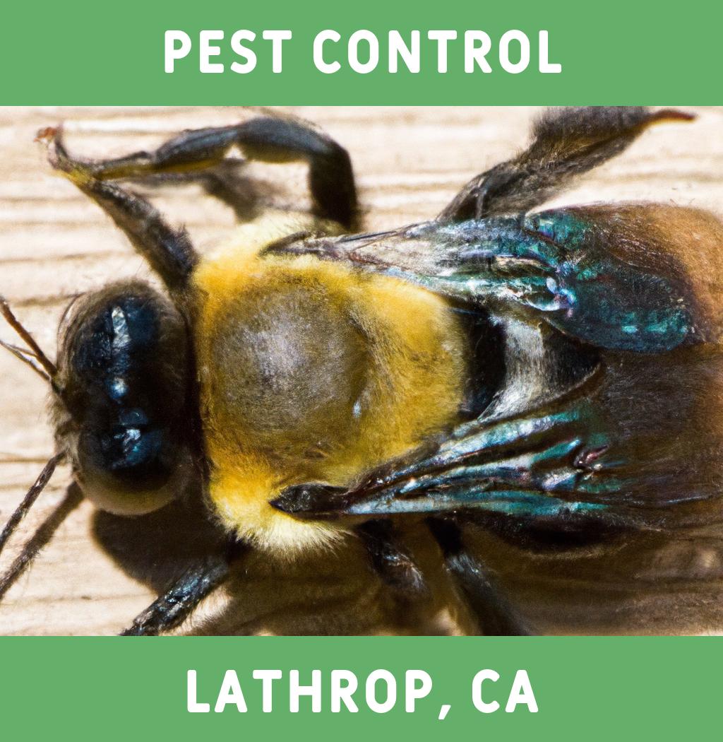 pest control in Lathrop California