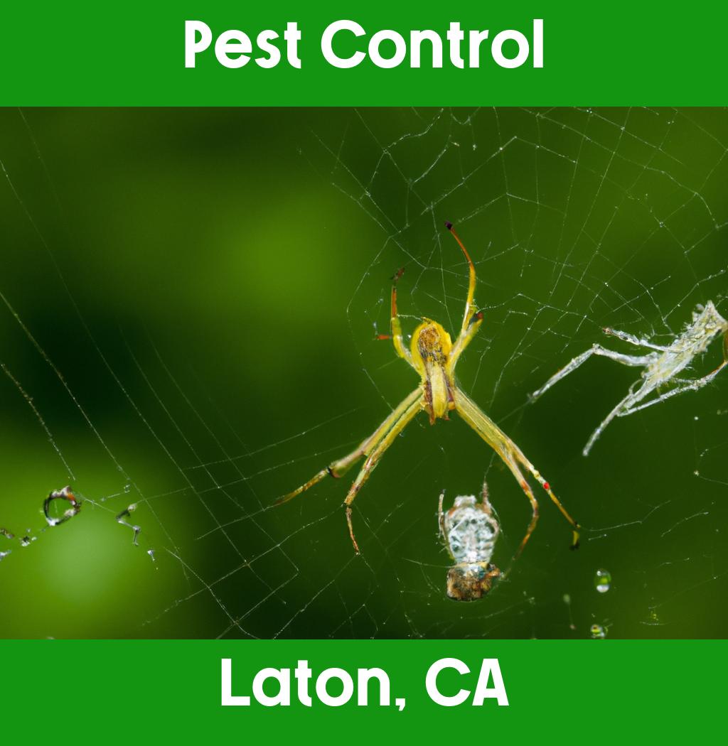 pest control in Laton California