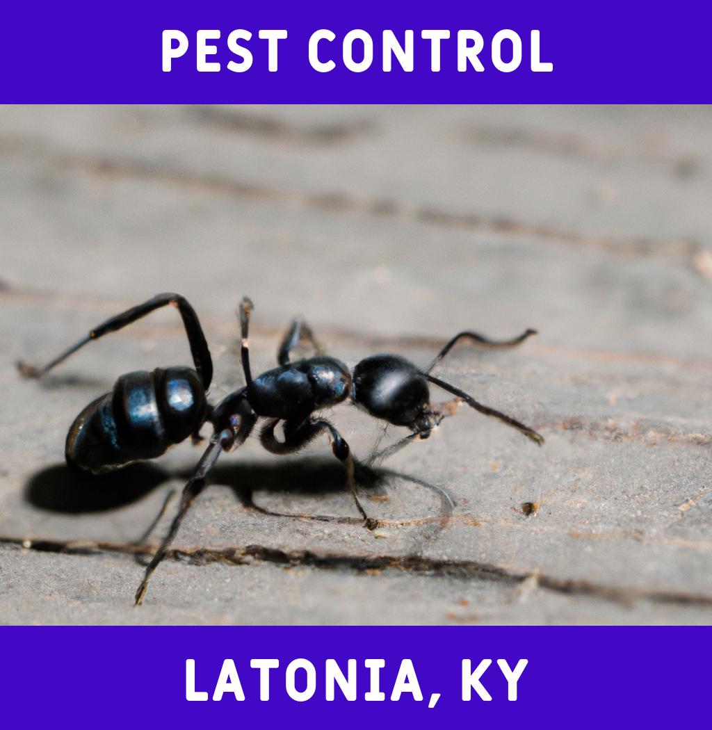 pest control in Latonia Kentucky