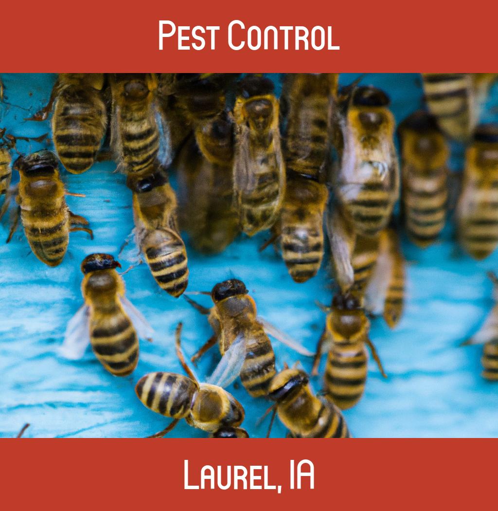 pest control in Laurel Iowa