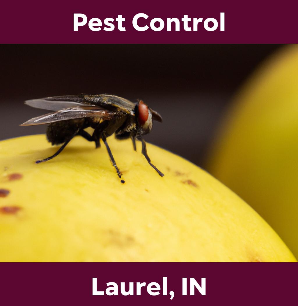 pest control in Laurel Indiana