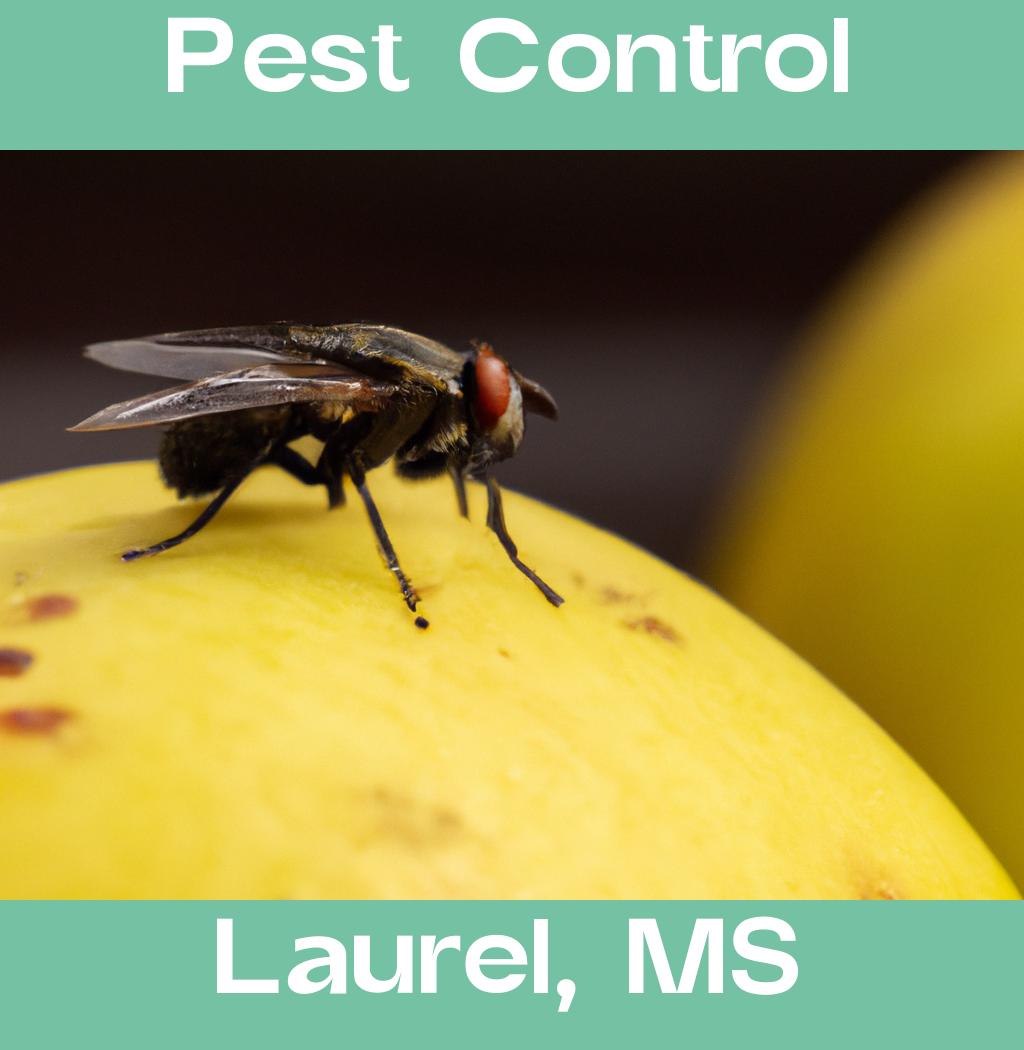 pest control in Laurel Mississippi