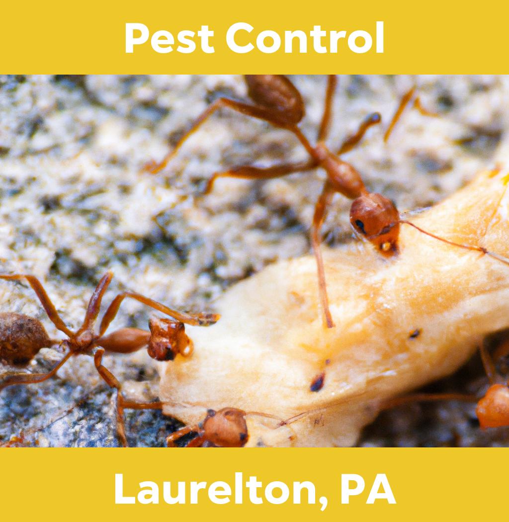 pest control in Laurelton Pennsylvania