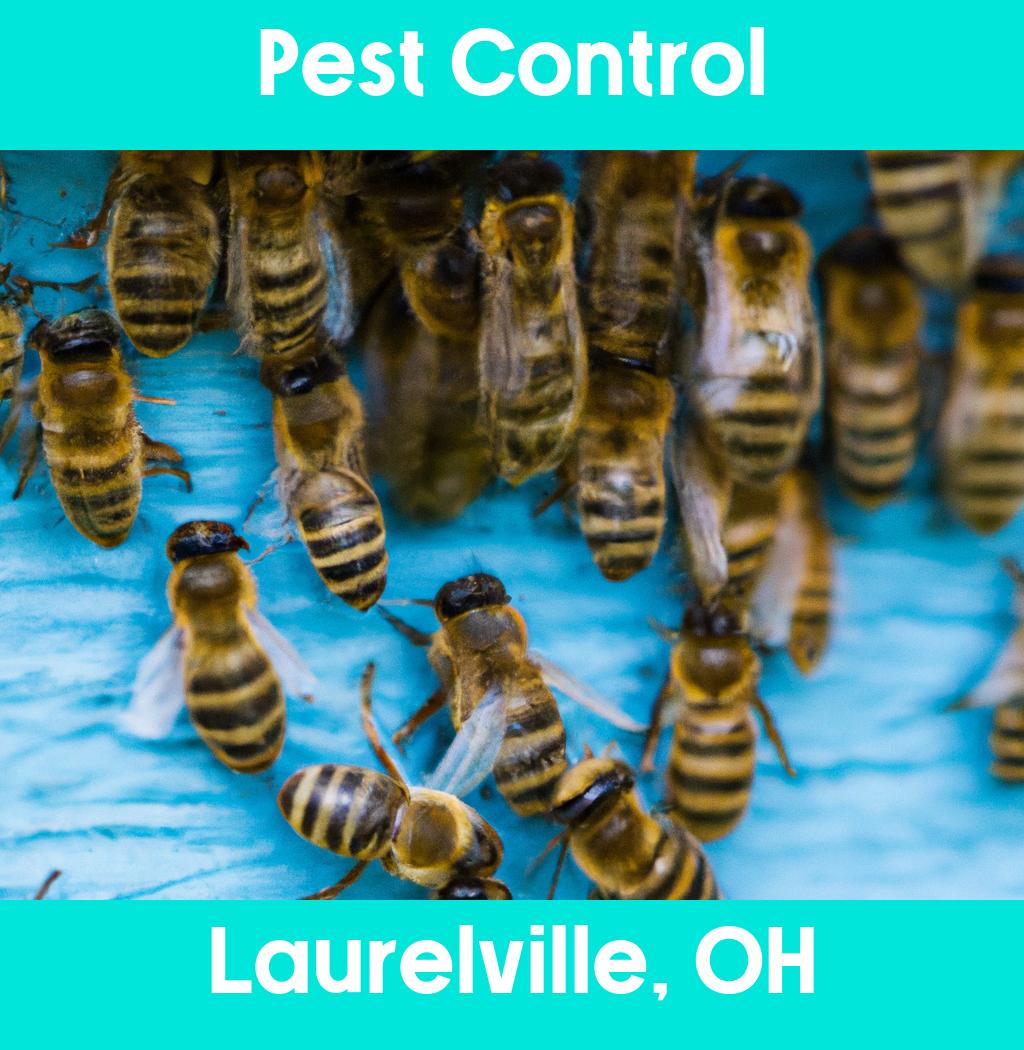 pest control in Laurelville Ohio
