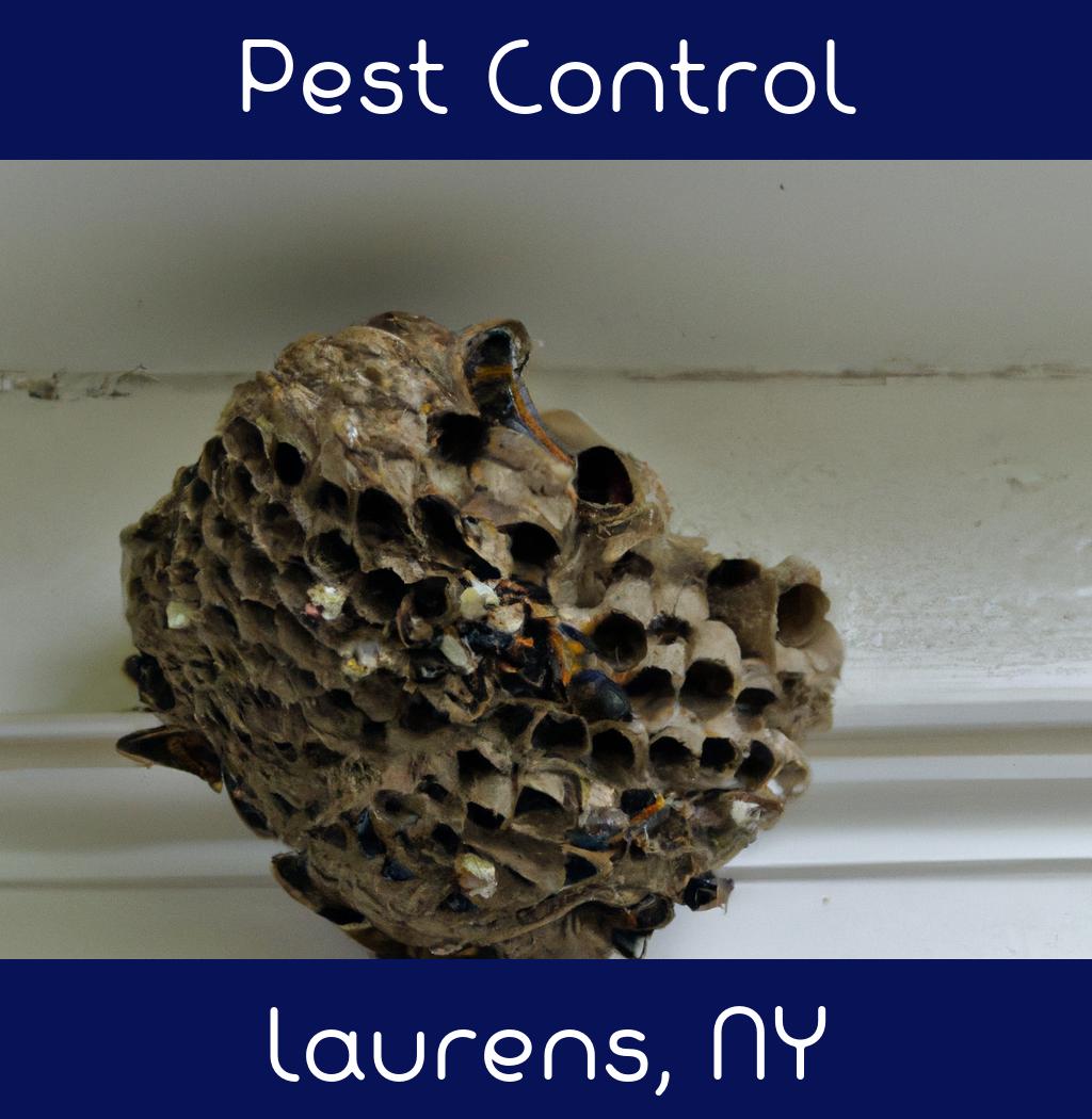 pest control in Laurens New York