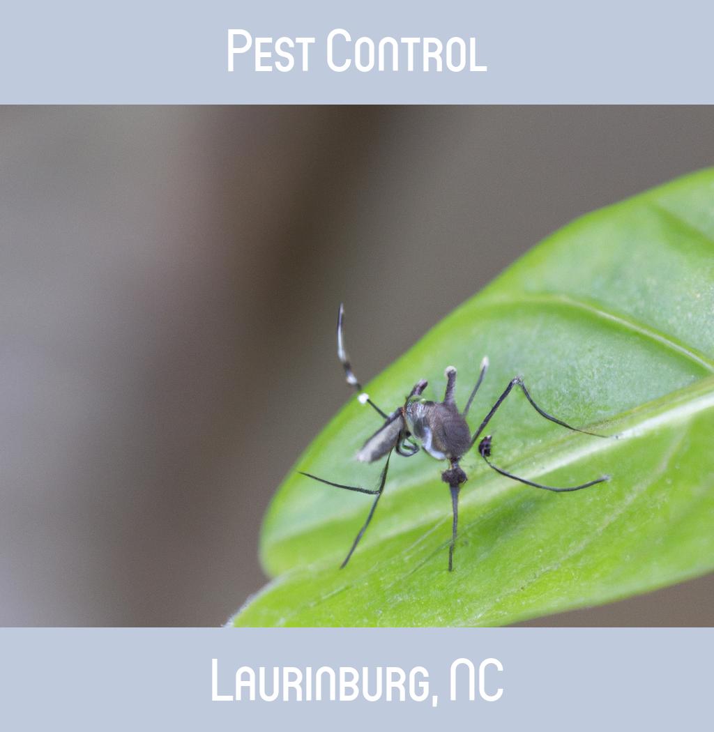 pest control in Laurinburg North Carolina