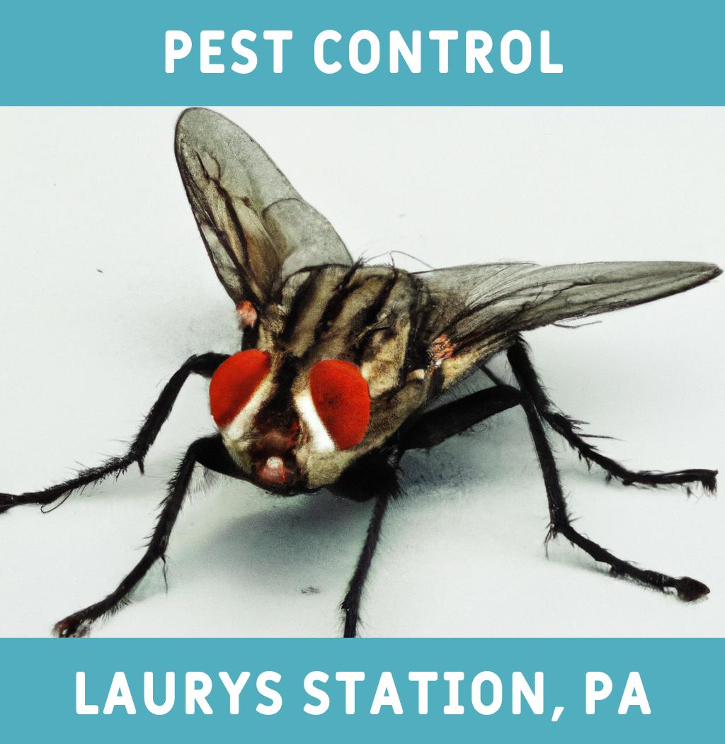 pest control in Laurys Station Pennsylvania