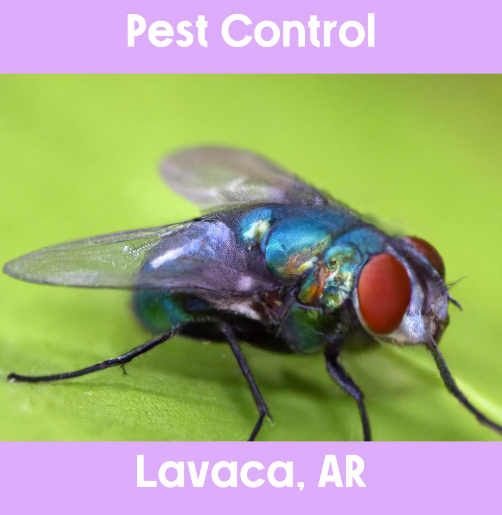 pest control in Lavaca Arkansas