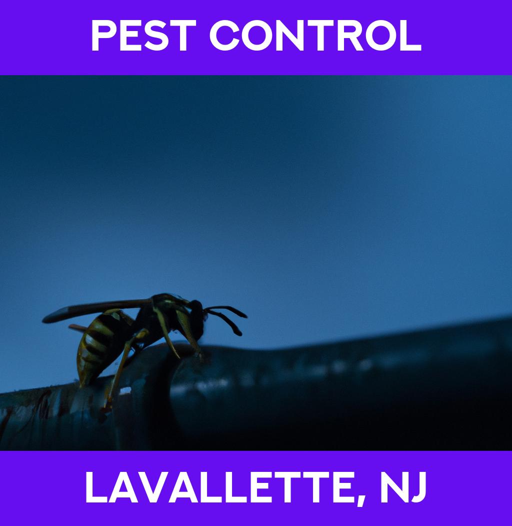 pest control in Lavallette New Jersey