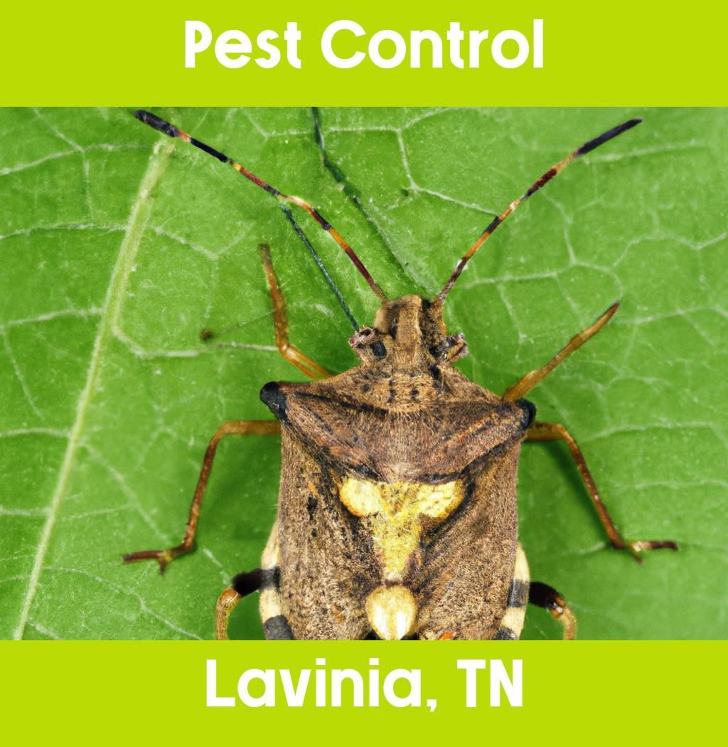 pest control in Lavinia Tennessee