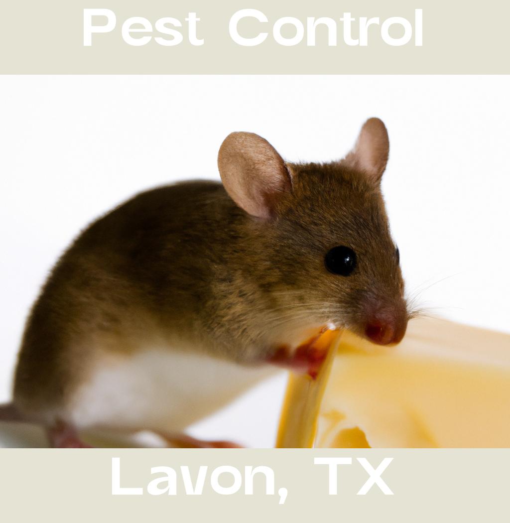 pest control in Lavon Texas