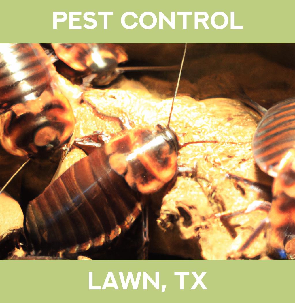pest control in Lawn Texas