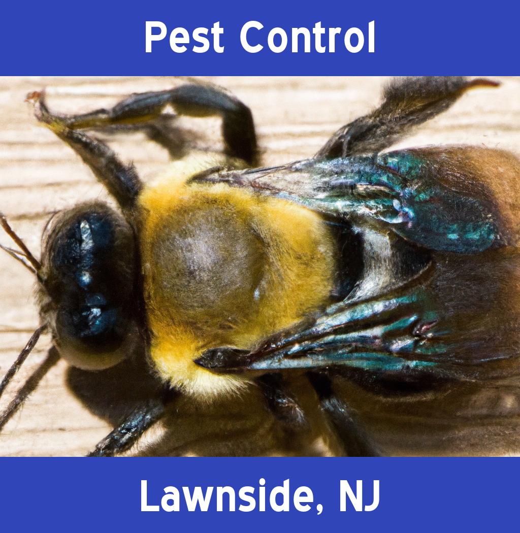 pest control in Lawnside New Jersey