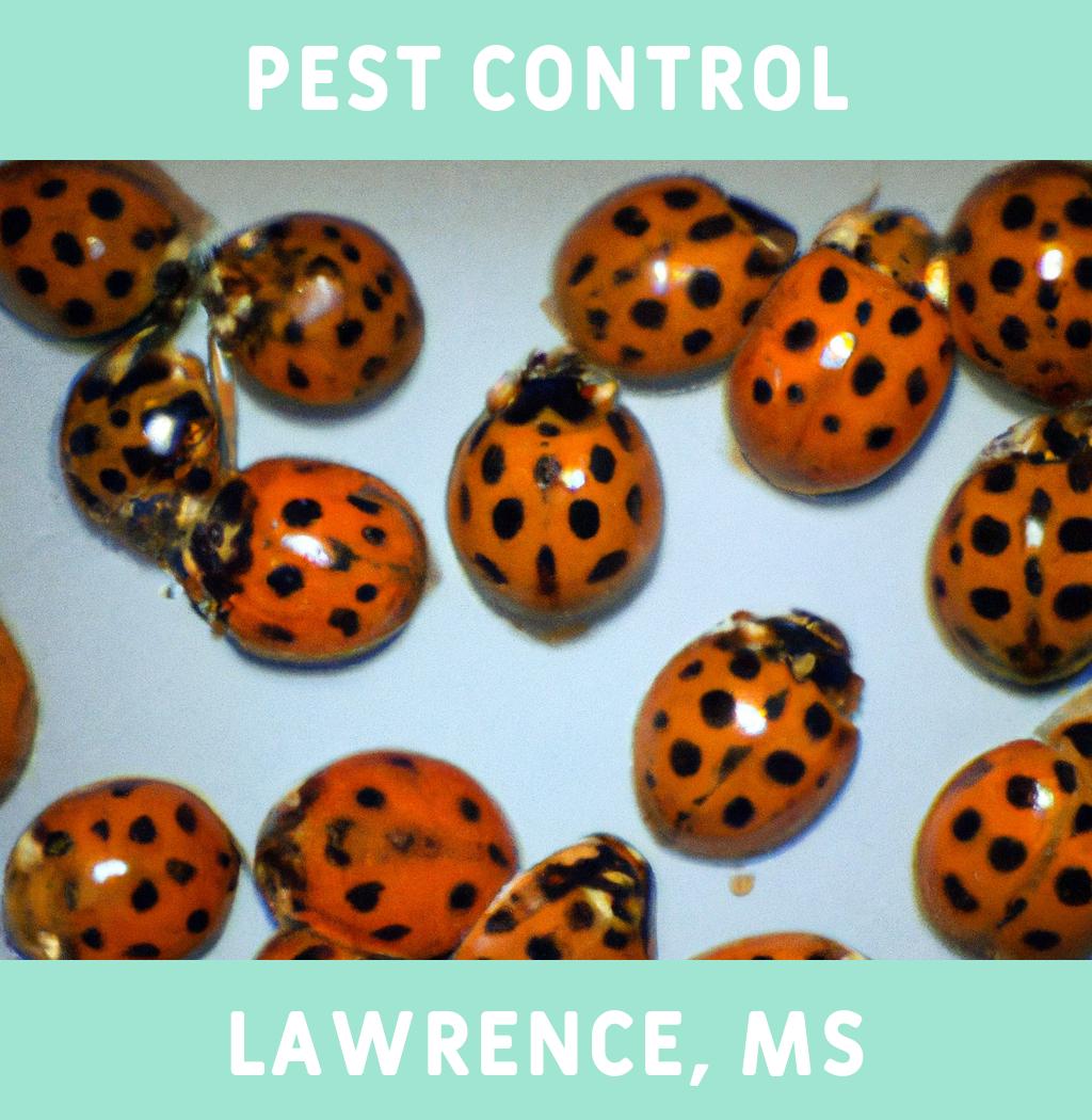 pest control in Lawrence Mississippi
