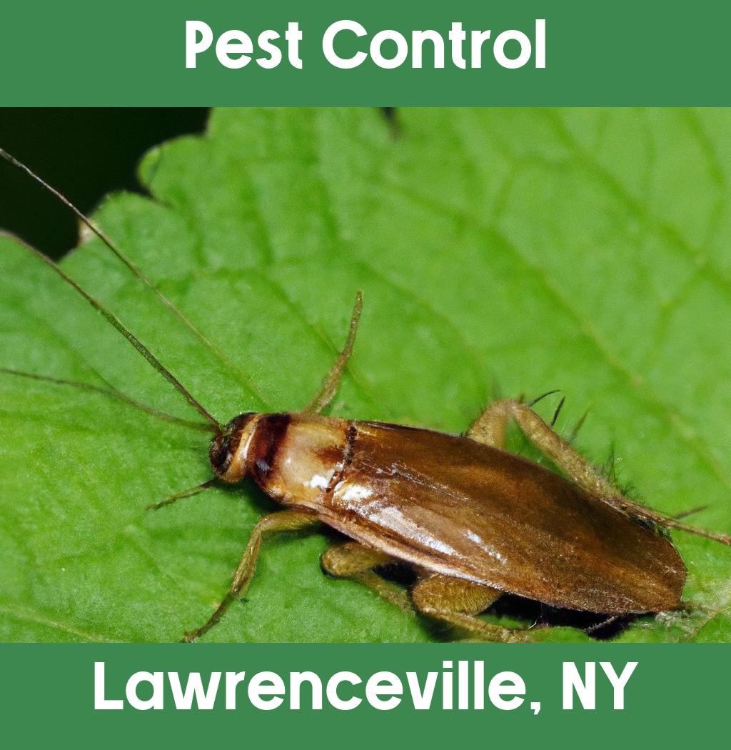 pest control in Lawrenceville New York