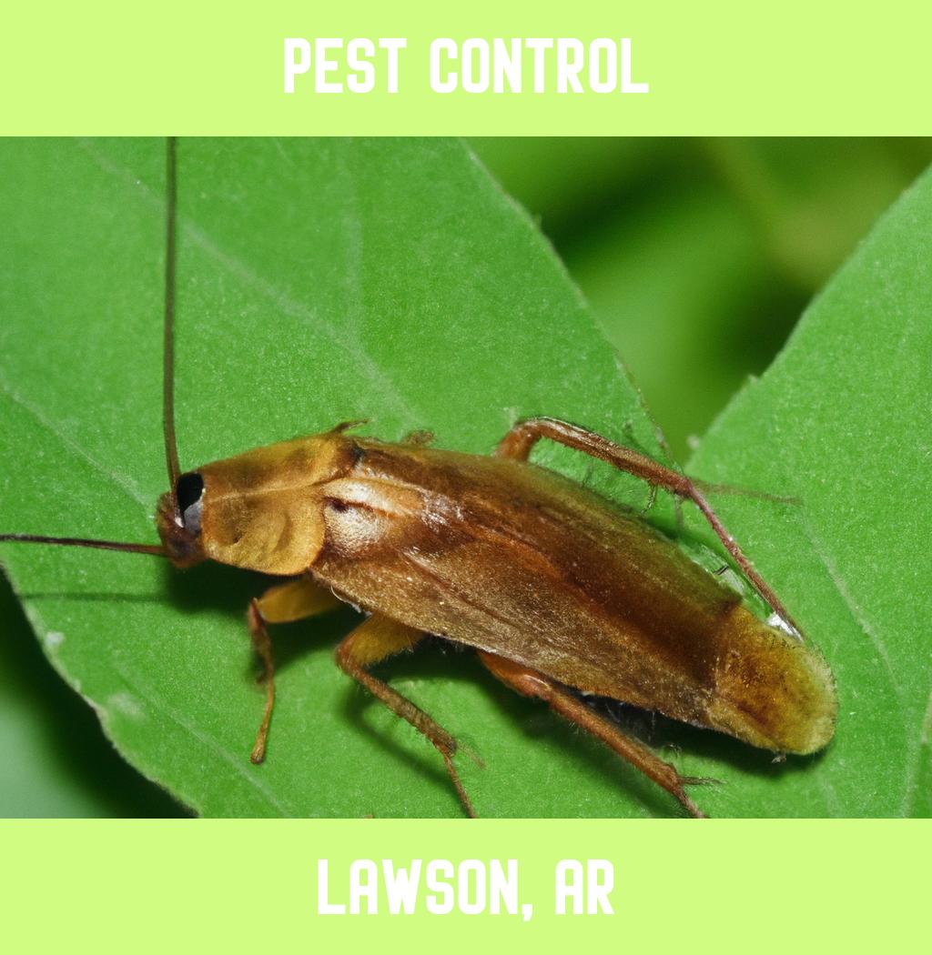 pest control in Lawson Arkansas
