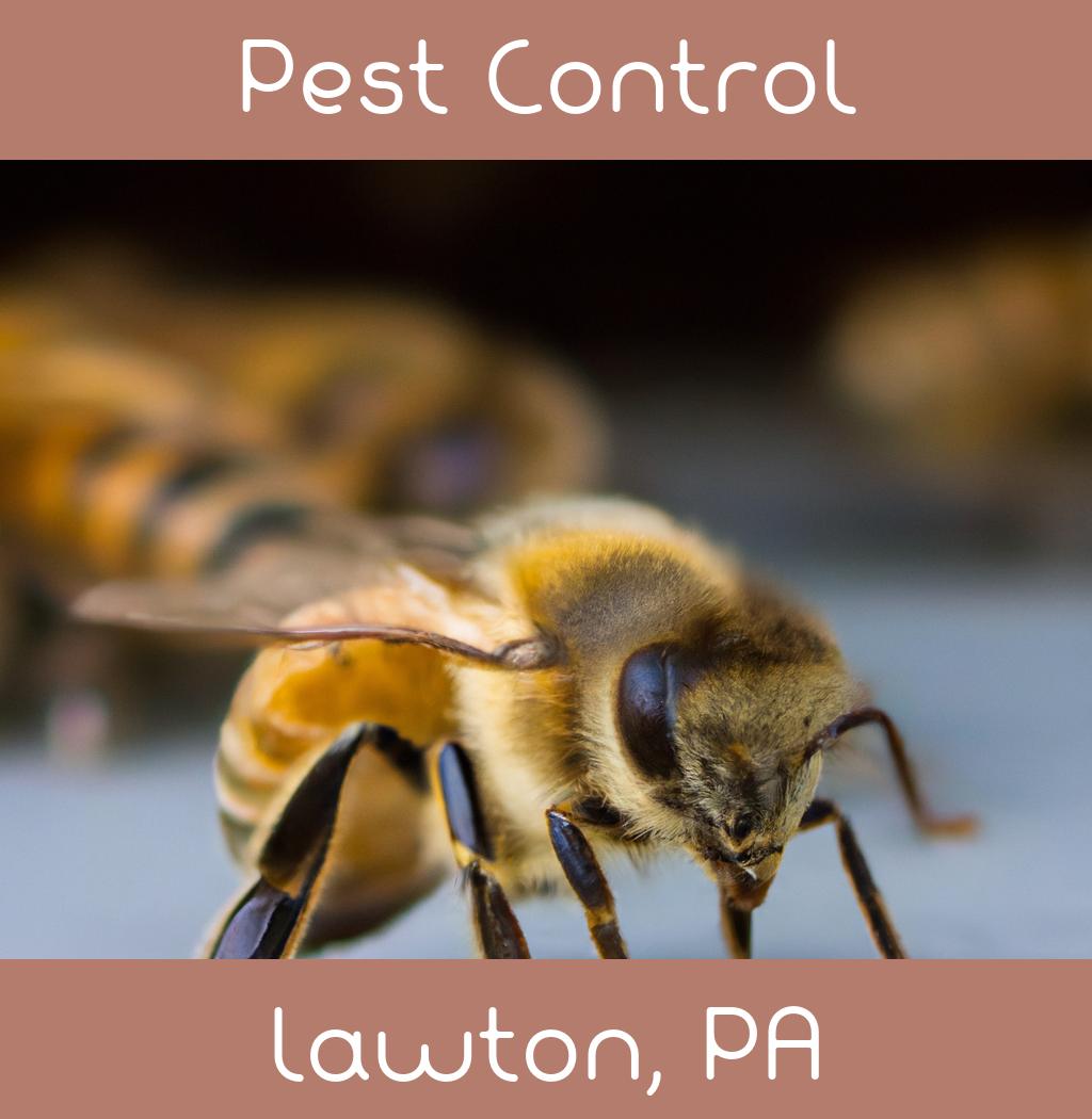 pest control in Lawton Pennsylvania