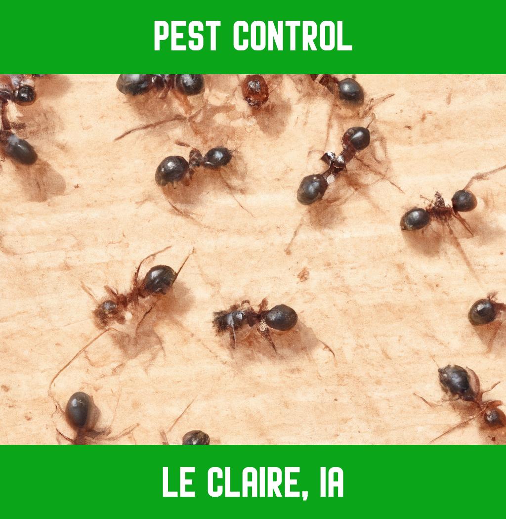 pest control in Le Claire Iowa