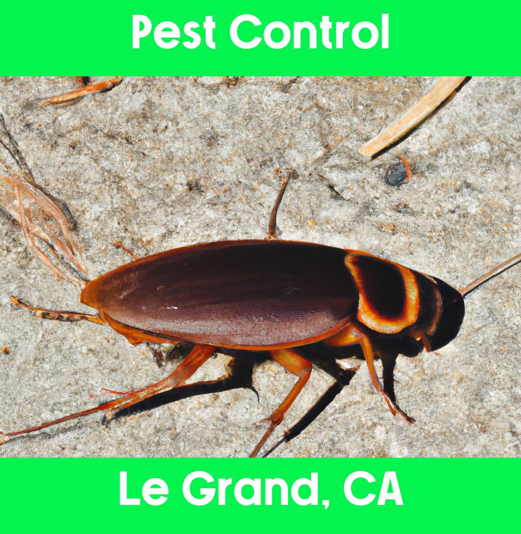 pest control in Le Grand California