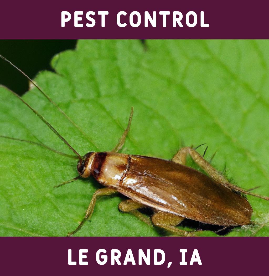 pest control in Le Grand Iowa