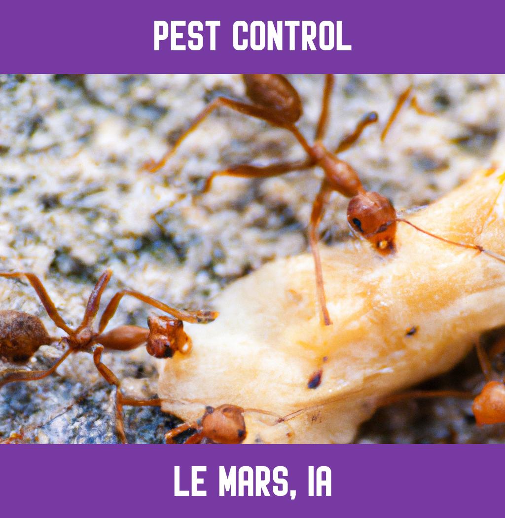 pest control in Le Mars Iowa
