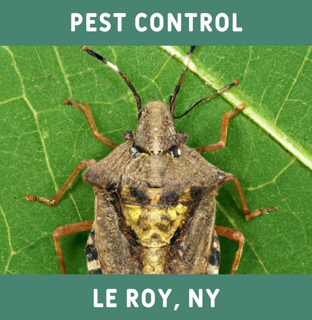 pest control in Le Roy New York