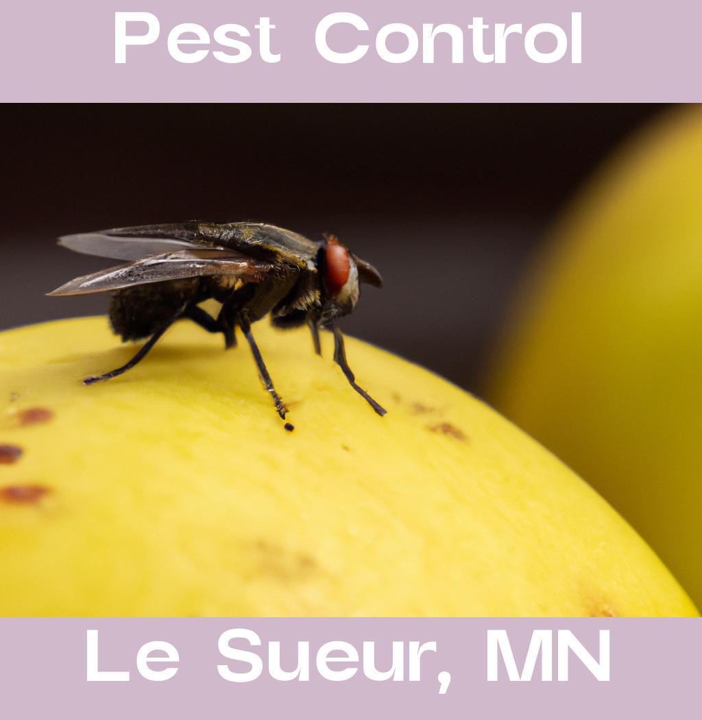 pest control in Le Sueur Minnesota