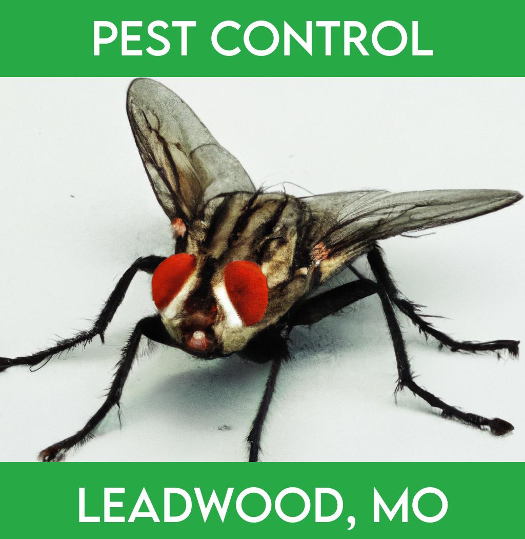 pest control in Leadwood Missouri