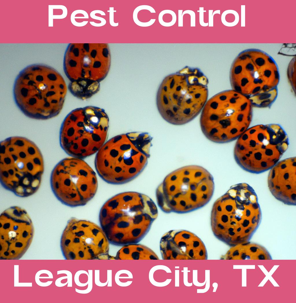 pest control in League City Texas