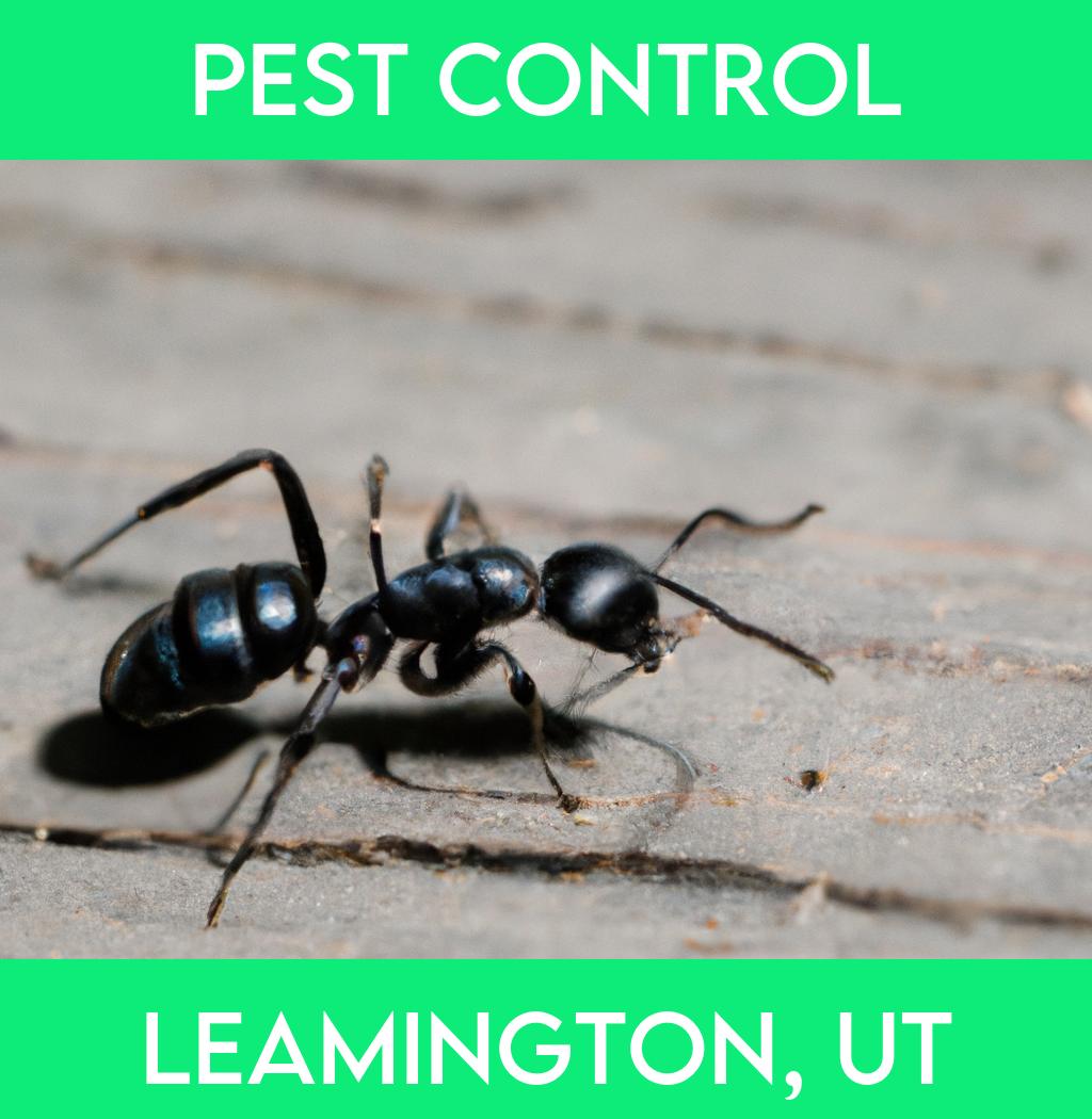 pest control in Leamington Utah