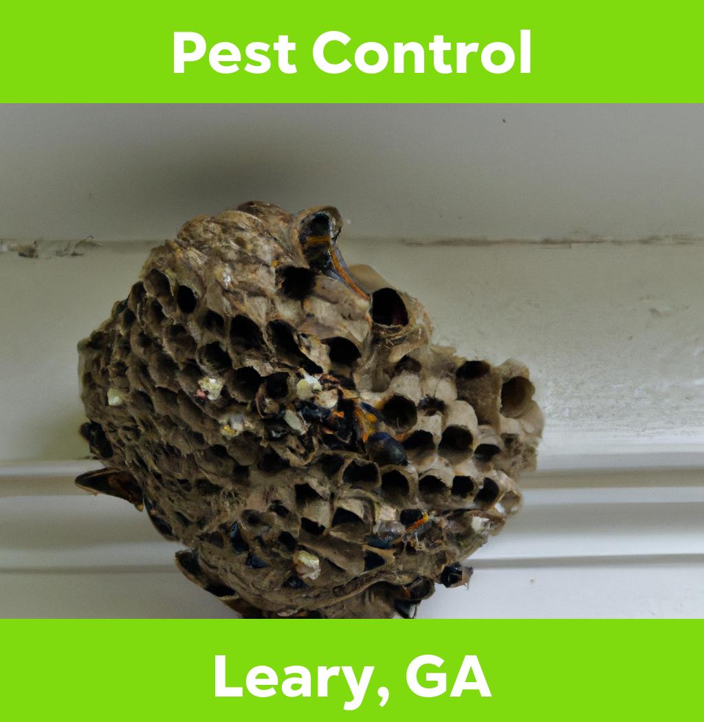 pest control in Leary Georgia