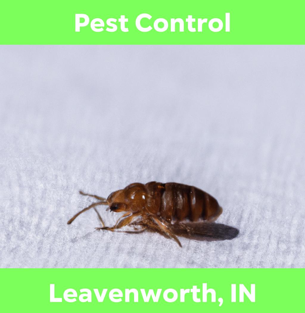 pest control in Leavenworth Indiana