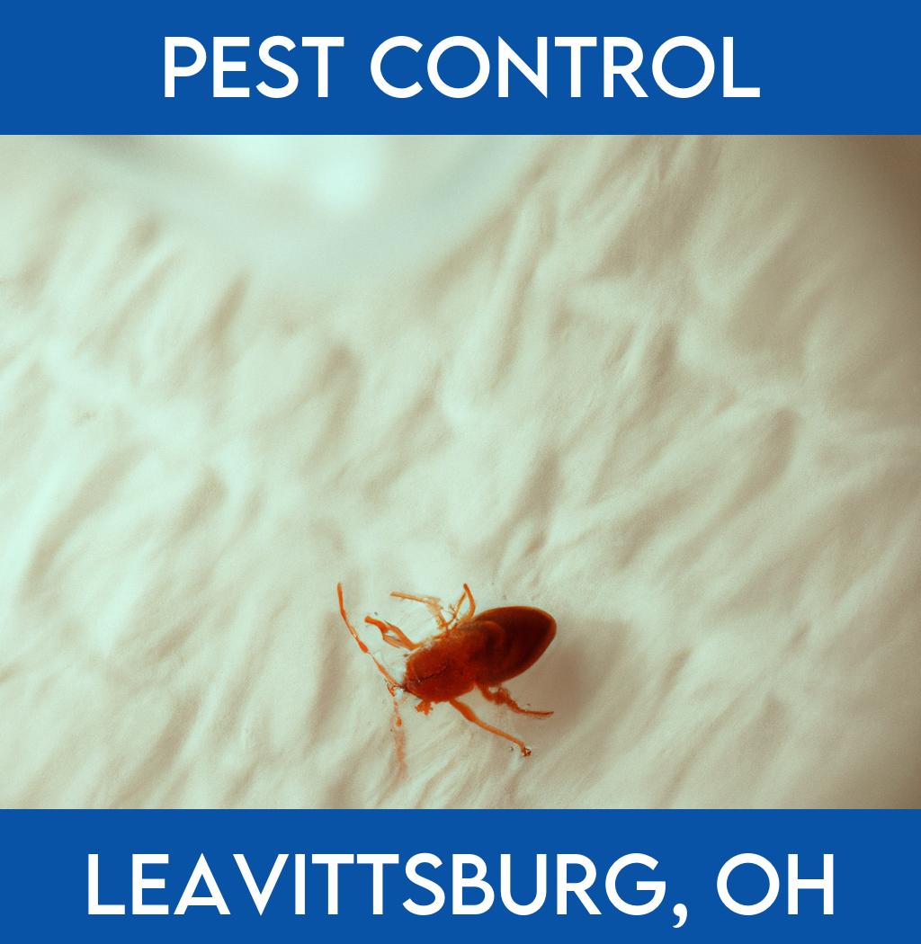 pest control in Leavittsburg Ohio