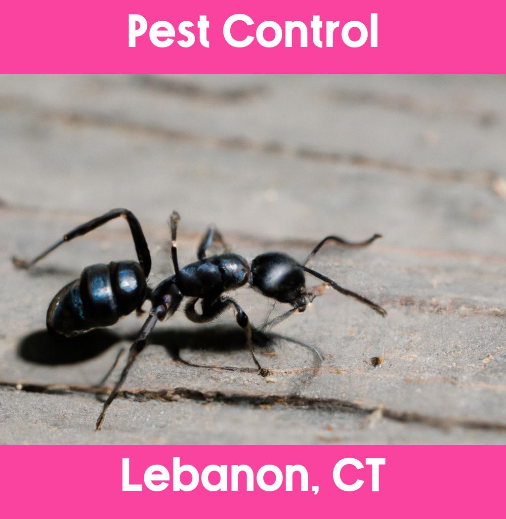 pest control in Lebanon Connecticut