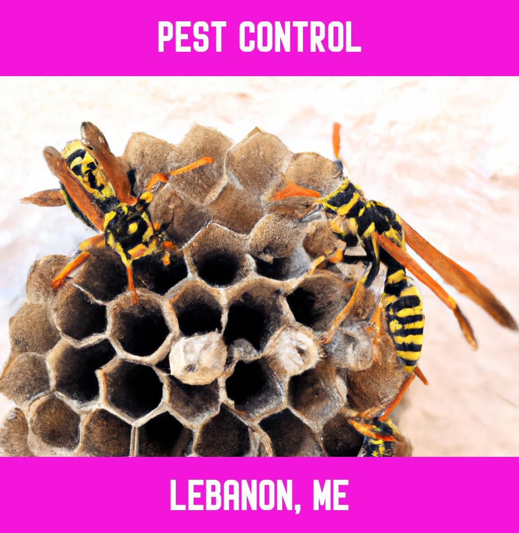 pest control in Lebanon Maine