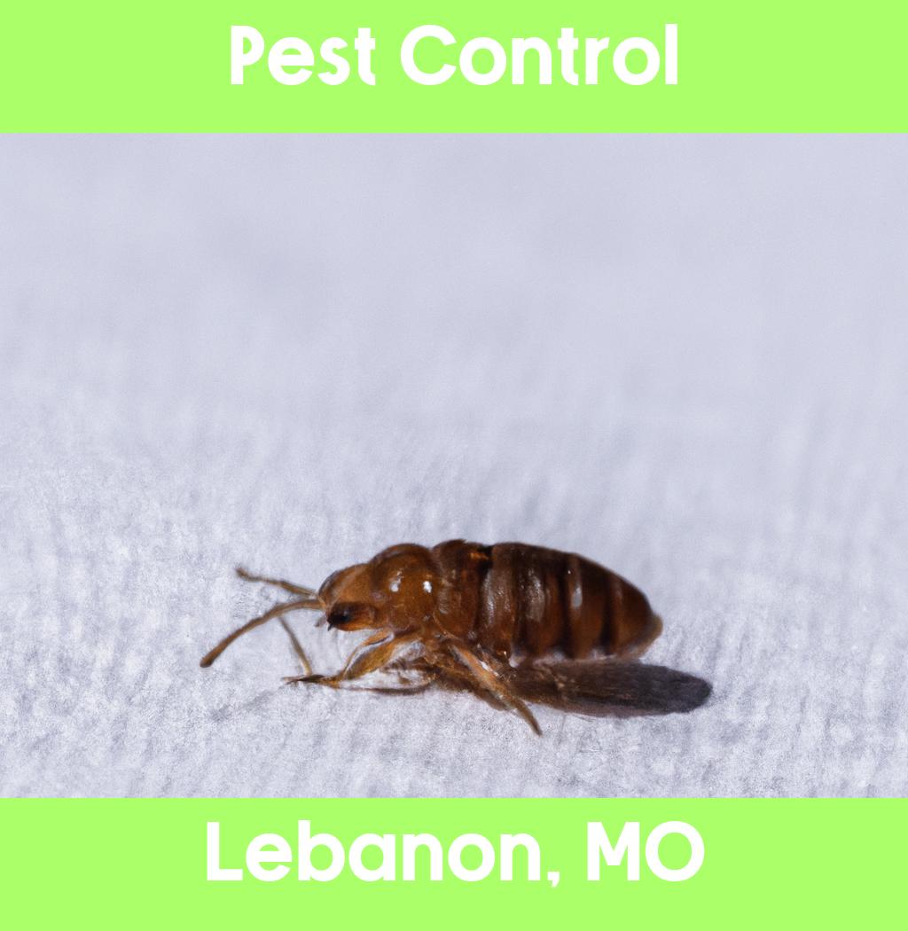 pest control in Lebanon Missouri