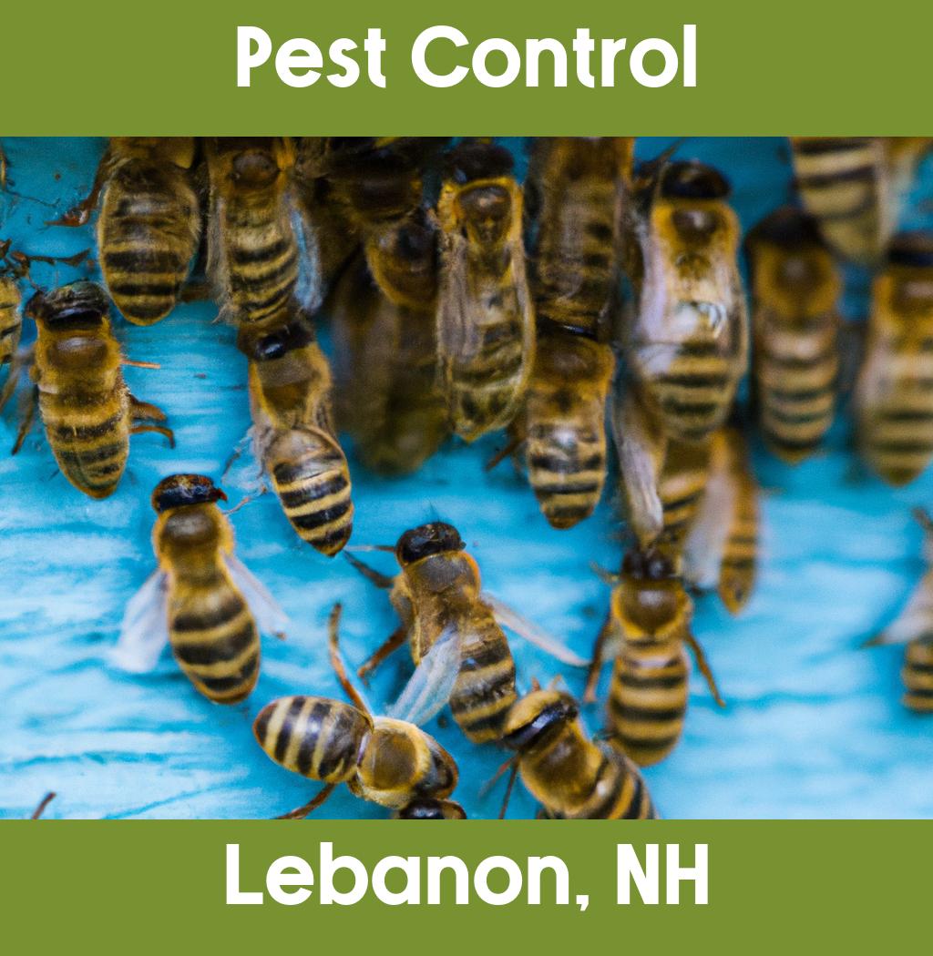 pest control in Lebanon New Hampshire