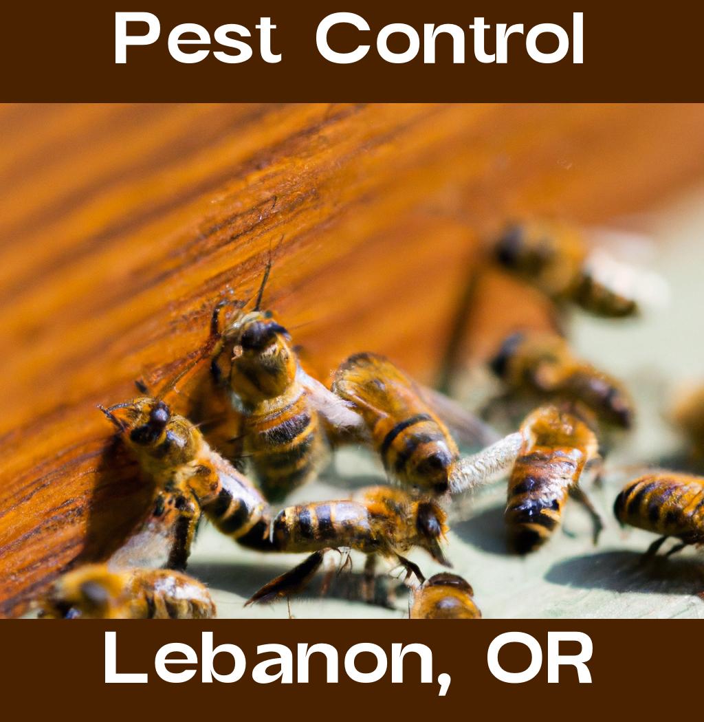 pest control in Lebanon Oregon