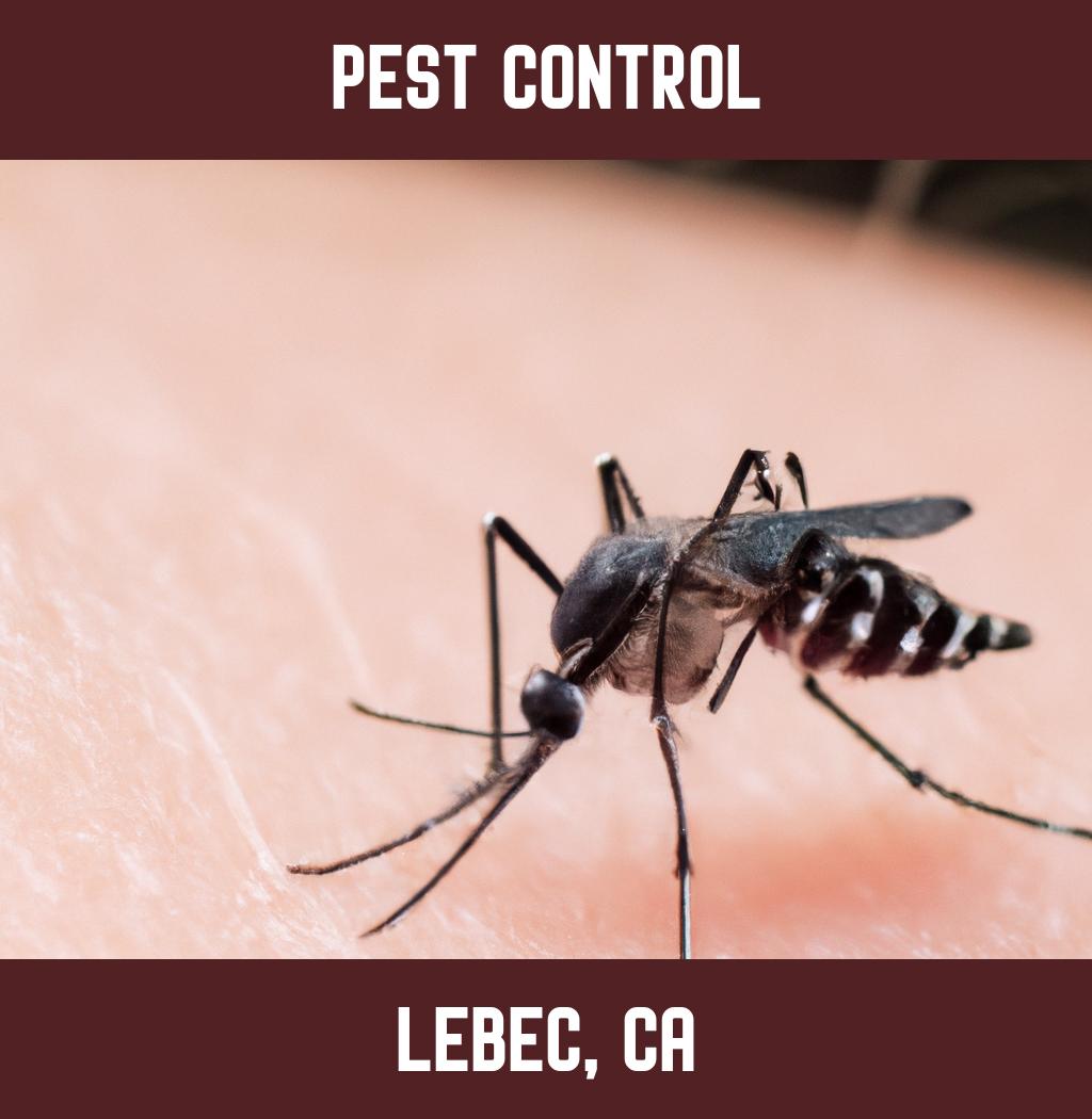 pest control in Lebec California