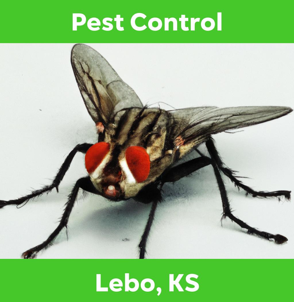 pest control in Lebo Kansas