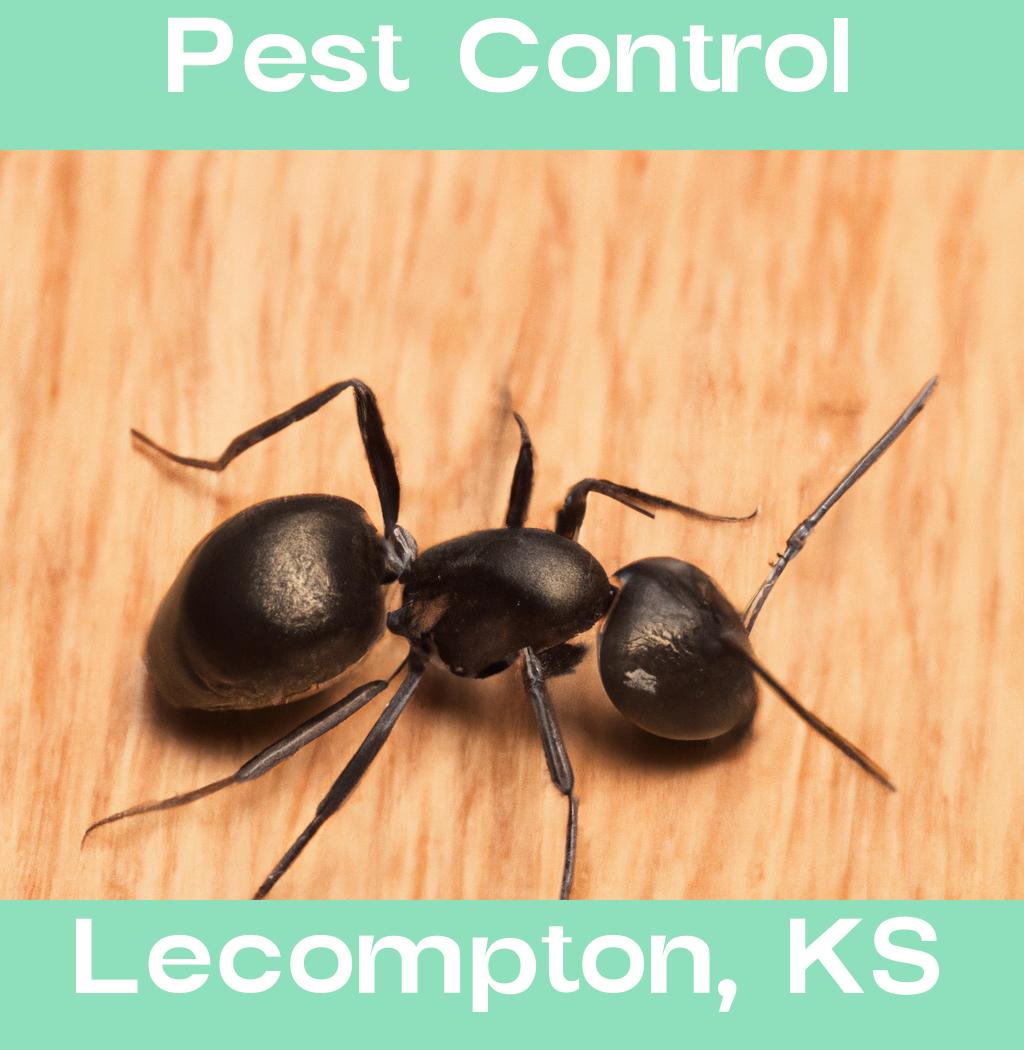 pest control in Lecompton Kansas