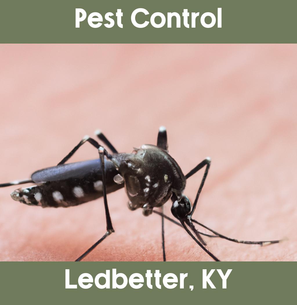 pest control in Ledbetter Kentucky