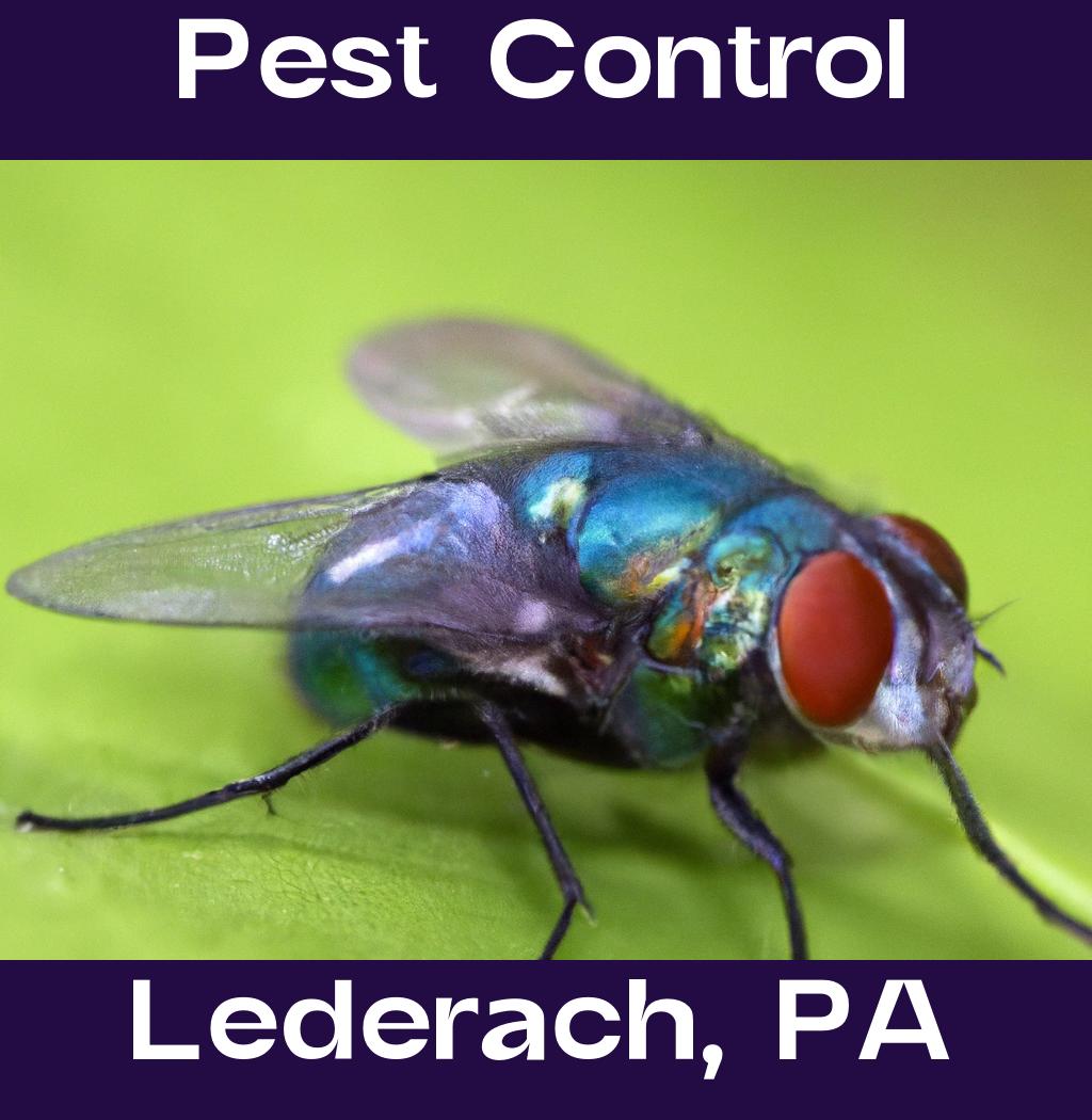 pest control in Lederach Pennsylvania